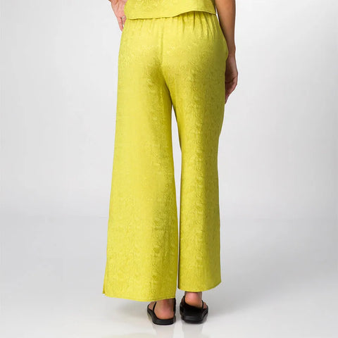 Ollie Pant